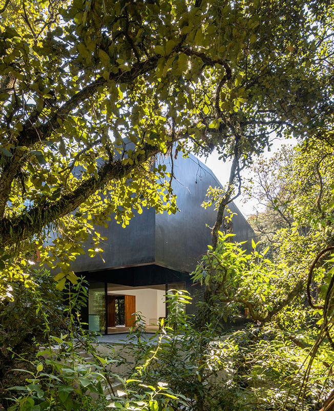 PPAA: дом посреди густого леса в Мехико - «Интерьер»