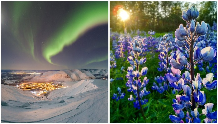 Ботанический сад в Арктике: экзотическая красота в суровом Заполярье - Архитектура и интерьер