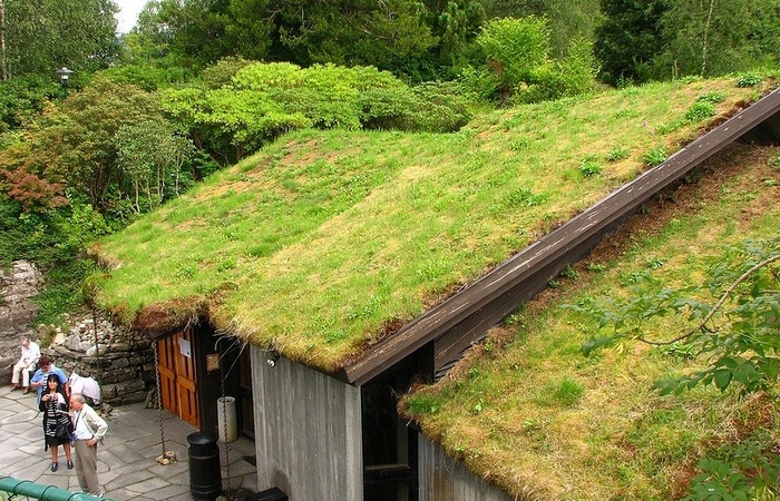 Зачем в скандинавских странах на крышах домов растят траву - Архитектура и интерьер