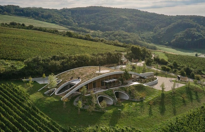 Чешская винодельня, «растворившаяся» среди живописных холмов Моравии - Архитектура и интерьер